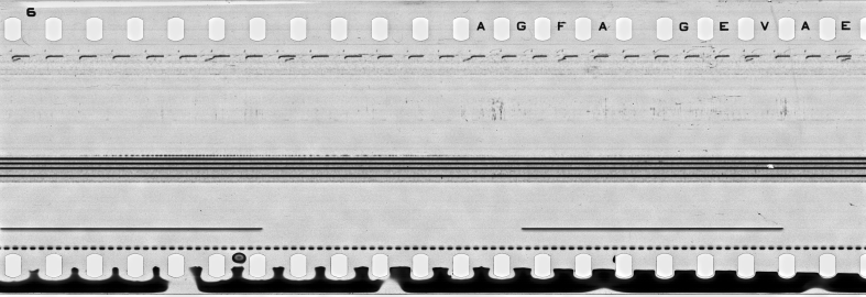 FR751142302_IDN_S_0407_1977_0009 PNG