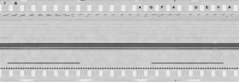 FR751142302_IDN_S_0407_1977_0018 PNG