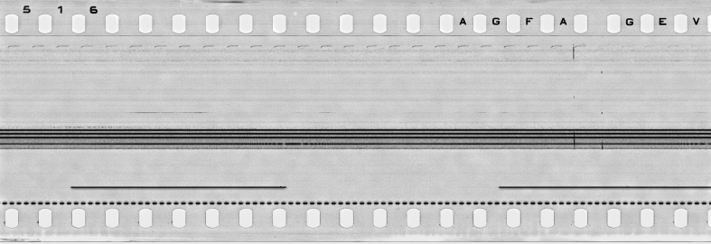 FR751142302_IDN_S_0407_1977_0036 PNG