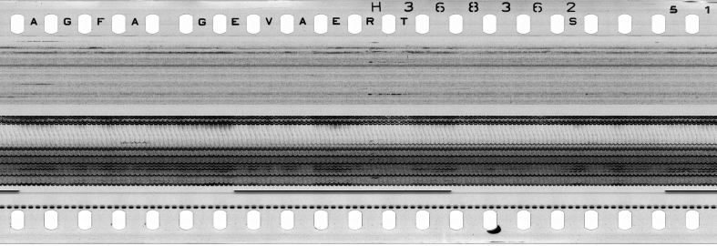 FR751142302_IDN_S_0407_1977_0142 PNG