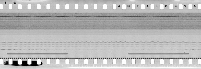 FR751142302_IDN_S_0410_1977_0049 PNG