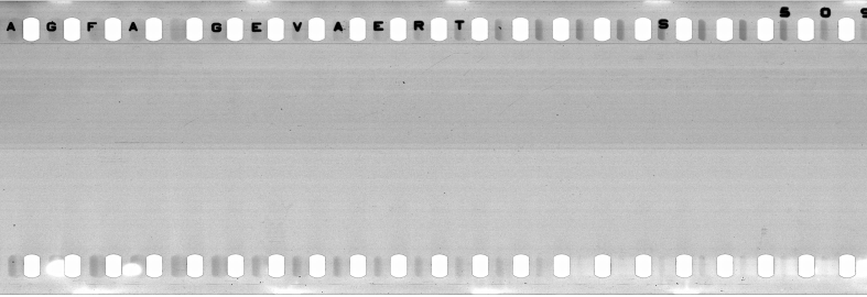 FR751142302_IDN_S_0412_1977_0008 PNG