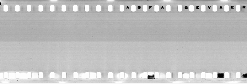 FR751142302_IDN_S_0412_1977_0009 PNG