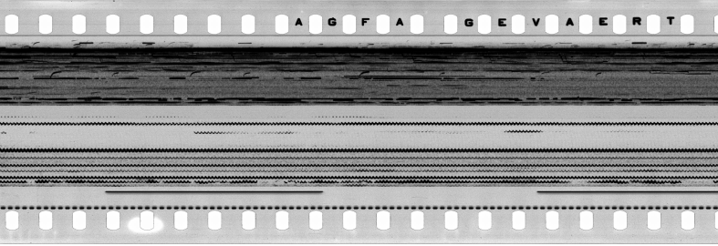 FR751142302_IDN_S_0412_1977_0128 PNG