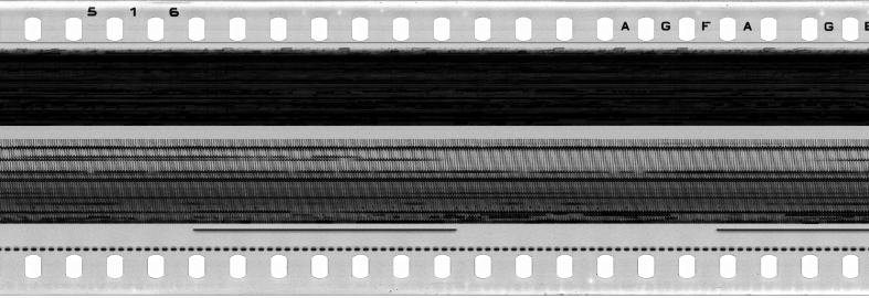 FR751142302_IDN_S_0415_1977_0303 PNG