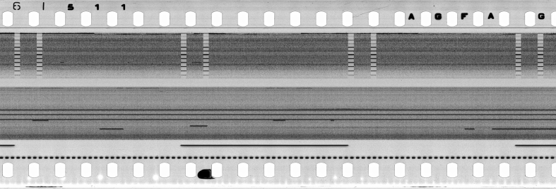 FR751142302_IDN_S_0421_1977_0058 PNG