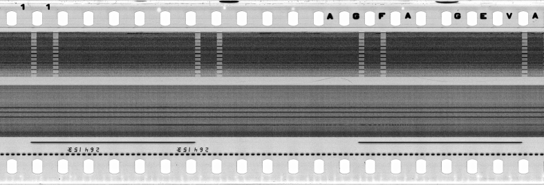 FR751142302_IDN_S_0421_1977_0177 PNG