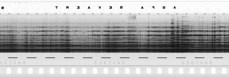 FR751142302_RDN_R_0006_1980_0073 PNG