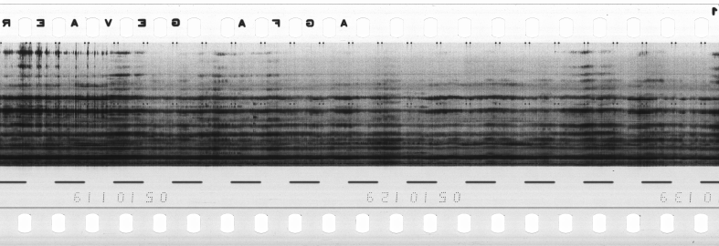 FR751142302_RDN_R_0006_1980_0135 PNG