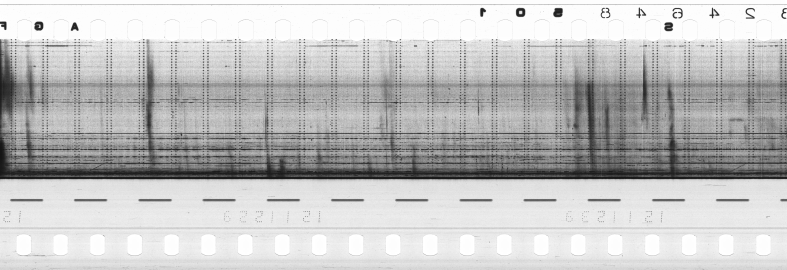 FR751142302_RDN_R_0013_1980_0136 PNG