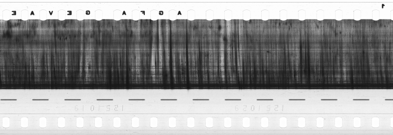 FR751142302_RDN_R_0013_1980_0310 PNG