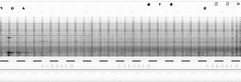 FR751142302_RDN_R_0031_1981_0063 PNG