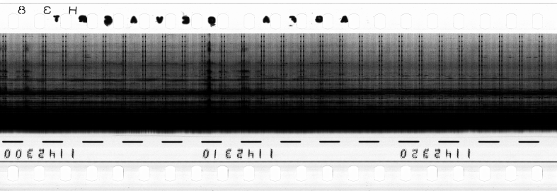 FR751142302_RDN_R_0036_1981_0072 PNG
