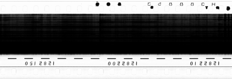 FR751142302_RDN_R_0036_1981_0312 PNG