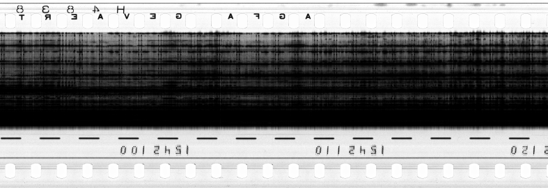 FR751142302_RDN_R_0038_1981_0142 PNG