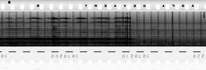 FR751142302_RDN_R_0053_1982_0174 PNG