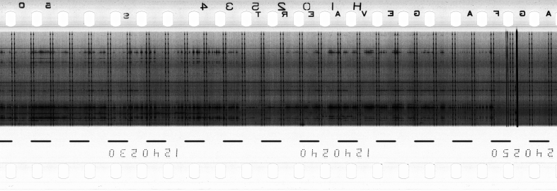 FR751142302_RDN_R_0066_1983_0224 PNG