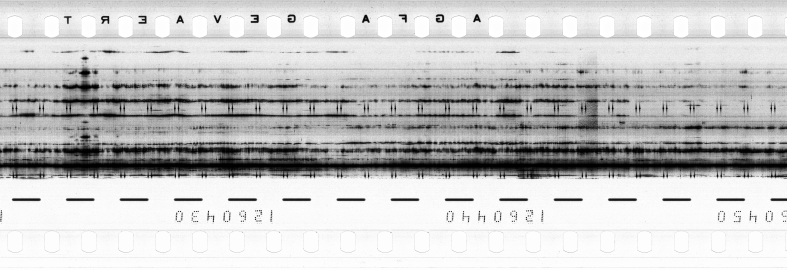 FR751142302_RDN_R_0066_1983_0262 PNG