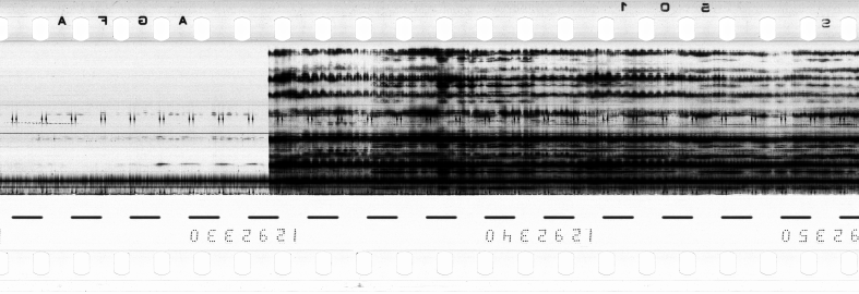FR751142302_RDN_R_0066_1983_0294 PNG