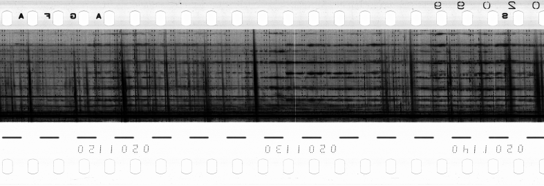 FR751142302_RDN_R_0090_1984_0282 PNG