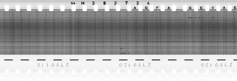 FR751142302_RDN_R_0134_1987_0154 PNG