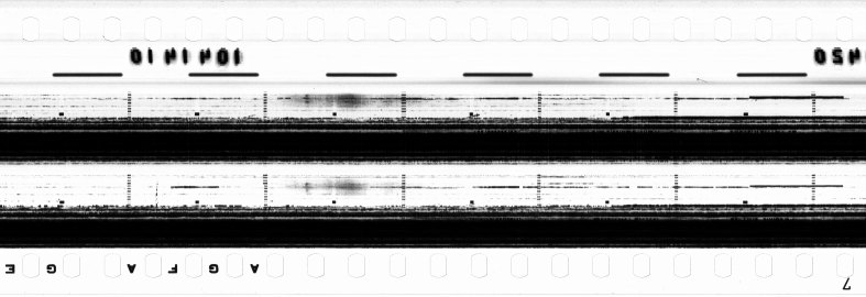 FR751142302_RDN_RN_0006_1990_0199 PNG