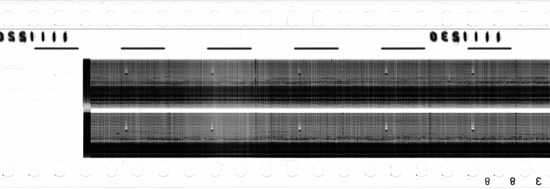 FR751142302_RDN_RN_0007_1990_0223 PNG