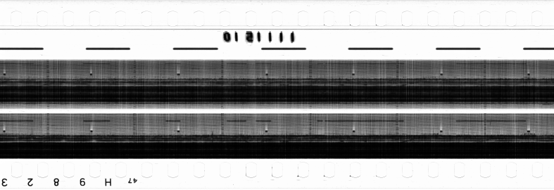 FR751142302_RDN_RN_0007_1990_0236 PNG