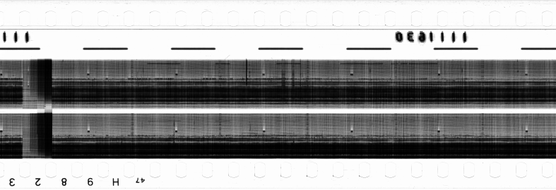 FR751142302_RDN_RN_0007_1990_0242 PNG