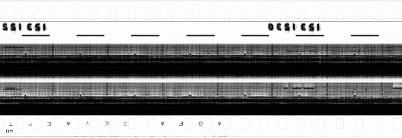FR751142302_RDN_RN_0009_1990_0060 PNG