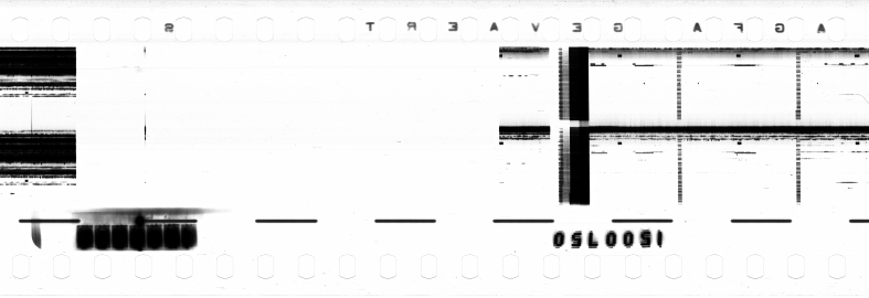 FR751142302_RDN_RN_0012_1990_0192 PNG