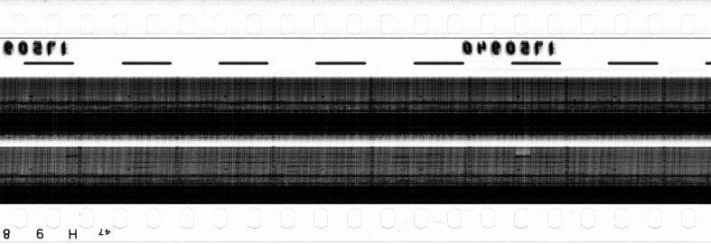 FR751142302_RDN_RN_0013_1990_0191 PNG
