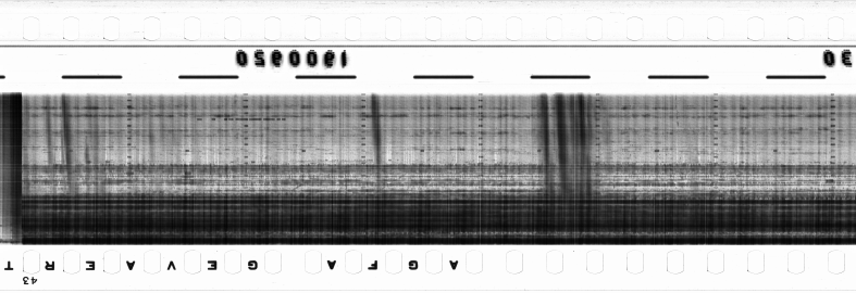 FR751142302_RDN_RN_0015_1990_0142 PNG