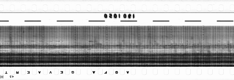 FR751142302_RDN_RN_0015_1990_0148 PNG