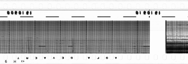 FR751142302_RDN_RN_0015_1990_0175 PNG