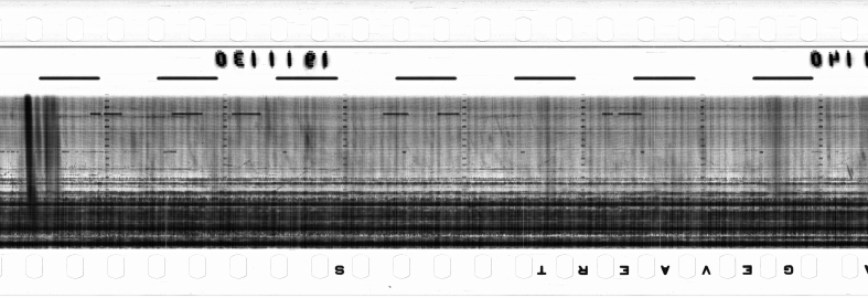 FR751142302_RDN_RN_0015_1990_0185 PNG