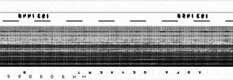 FR751142302_RDN_RN_0015_1990_0271 PNG