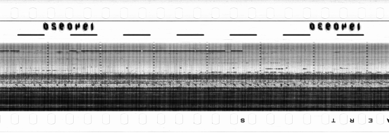 FR751142302_RDN_RN_0015_1990_0278 PNG