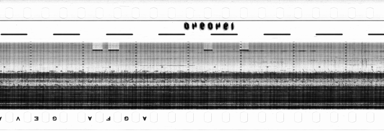 FR751142302_RDN_RN_0015_1990_0279 PNG