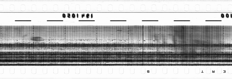 FR751142302_RDN_RN_0015_1990_0284 PNG