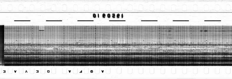 FR751142302_RDN_RN_0015_1990_0306 PNG