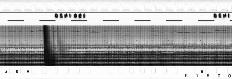 FR751142302_RDN_RN_0016_1990_0054 PNG