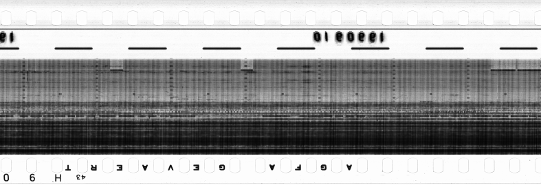 FR751142302_RDN_RN_0016_1990_0064 PNG