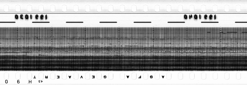 FR751142302_RDN_RN_0016_1990_0070 PNG