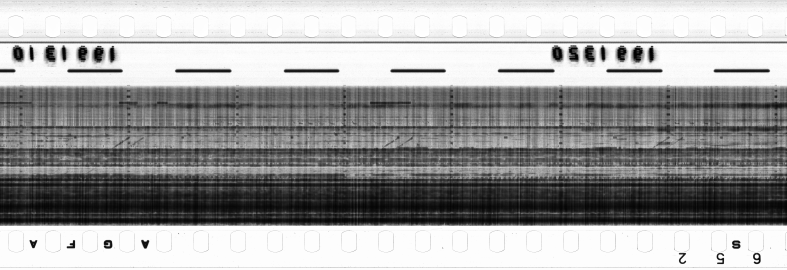 FR751142302_RDN_RN_0016_1990_0081 PNG