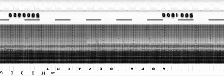 FR751142302_RDN_RN_0016_1990_0100 PNG