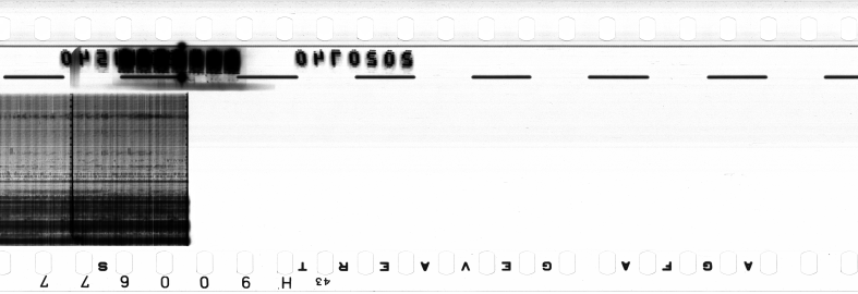 FR751142302_RDN_RN_0016_1990_0157 PNG