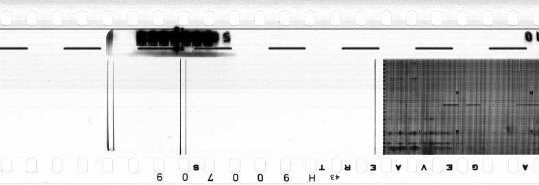 FR751142302_RDN_RN_0016_1990_0253 PNG