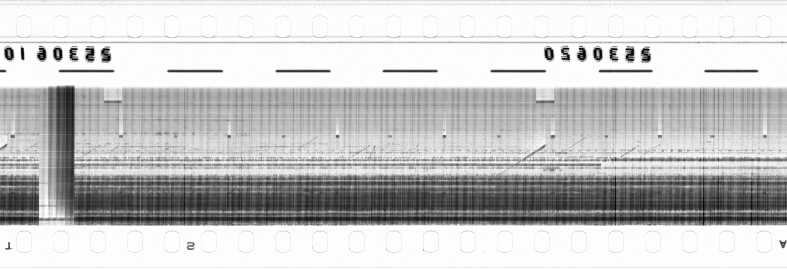 FR751142302_RDN_RN_0019_1990_0171 PNG