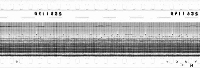 FR751142302_RDN_RN_0019_1990_0281 PNG